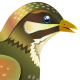 lugu