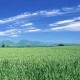小林博客